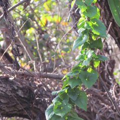 IMG_2404