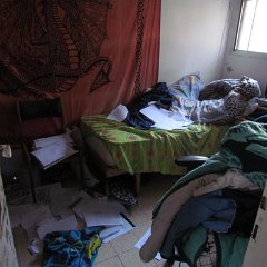 ZivsRoom