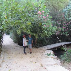 IMG_2730