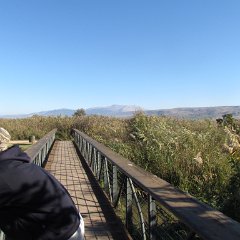 IMG_4272
