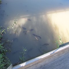 IMG_4273