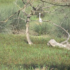 IMG_4279