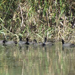 IMG_4285
