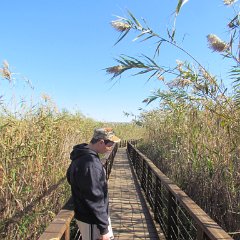 IMG_4290