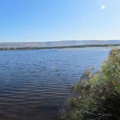 IMG_4294