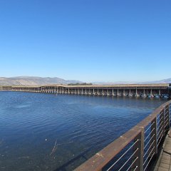 IMG_4295