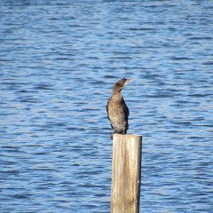 IMG_4297