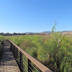 IMG_4300