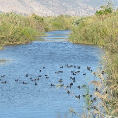 IMG_4302