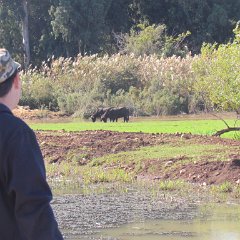 IMG_4304