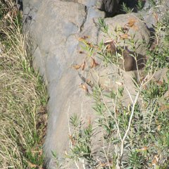 IMG_3200
