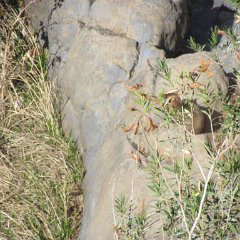 IMG_3201
