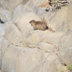 IMG_3202