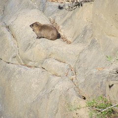 IMG_3204