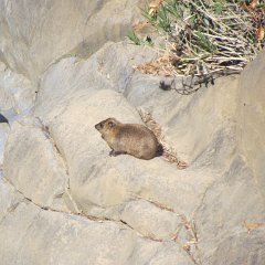 IMG_3205