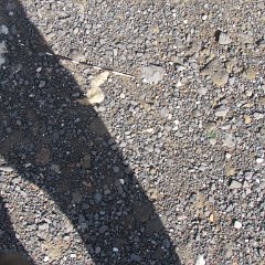 IMG_3213