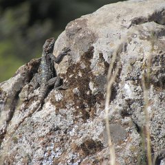 IMG_3214
