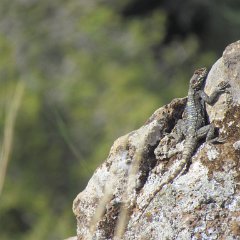 IMG_3215