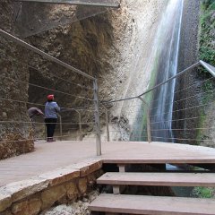 IMG_3169