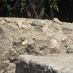 IMG_3973