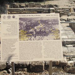 IMG_3981