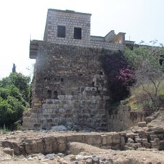 IMG_3984