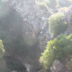 IMG_3992