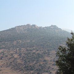 IMG_4000