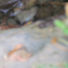 IMG_4022
