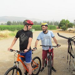 Bikes_20140531