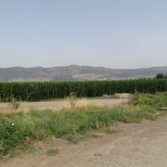 IMG_3886