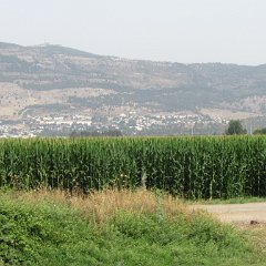 IMG_3891