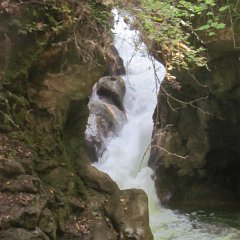 IMG_3765