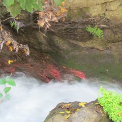 IMG_3772