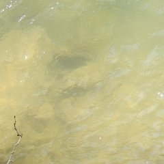 IMG_3776