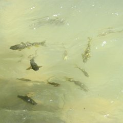 IMG_3778