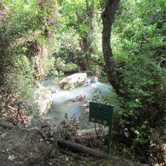 IMG_3781