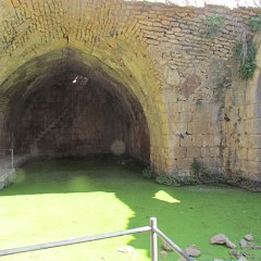 IMG_3871