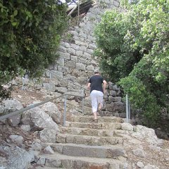 IMG_3878