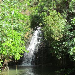 IMG_3675