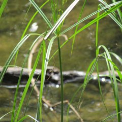 IMG_3677