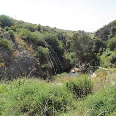 IMG_3686
