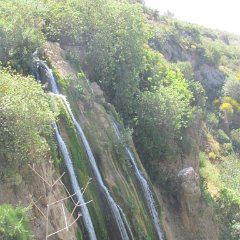IMG_3688