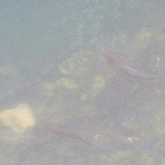 IMG_3712