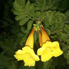 IMG_20140818_185318