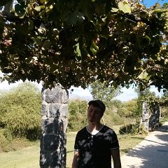 JordanWalk