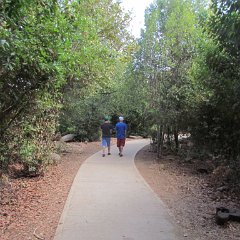 IMG_4153