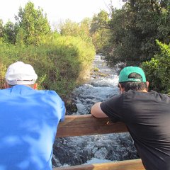 IMG_4156