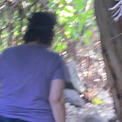 IMG_4172
