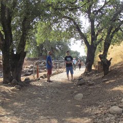 IMG_4175